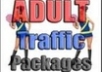 get Instant Dating Adult TRAFFIC And Make Over 350 Dollars Daily