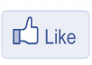 give 500 real Facebook likes , fb fans to your fanpage