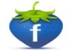  GIVE YOU 140 Facebook Like(100% MANUALLY WORK  GUARANTEE) ONLY
