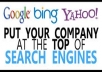provide 500 High quality SEO friendly manual backlink + Ping submission and send you report