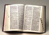 manually translate up to 1000 words, article, letter, or any text from English into French using correct grammar