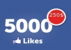 add 5.000 facebook fans [ITALIAN] 