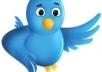  retweet your message to 250,000 users and add 2,500 real followers to your account