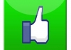 Give you 299+ Facebook Real Like 100% only for
