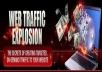 give you a guide that is going to get you drive traffic to your website