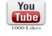 give you1000+ real human youtube likes for your any you tube video chanel