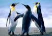 create 700+ Pr 9 to 3 Angela style backlinks, bookmark include some edu or gov sites !!!...@.