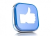 give 1000+ Real Facebook likes from USA Users to your Facebook Page in less than 5 hours without admin access
