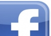 give you REAL 300+ facebook likes