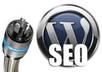 install Wordpres manually with your Theme and help Optimezed your SEO with Necessary Plugins