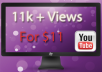 offer you 11,000 + Views for your youtube video