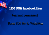 give you 1200+ real USA Facebook Likes