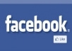 to give you 80+ facebook like on your facebook page only