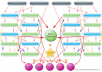 Build Eminent Backlink Pyramid with 5000 Profiles Links,links are all from different domains and about 90% percent are Dofollow