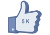 Give u 5,800 REAL Looking Facebook Fans on your FanPage