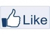 get you 111+ Facebook likes within 24 hours To your fanpage 