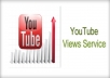 give you 3000 real human views on youtube