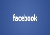 PROVIDE 500+BONUS LIKES REAL PEOPLE LIKES 