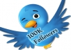 Give You ★Fast 100k ★Twitter Followers ★Within 24-hours