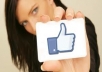 send you 1000 facebook fans + tweet to my 300 000 Twitter Followers