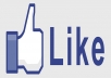 give 500 likes to Photos,Videos,Posts in Facebook fanpage or facebook shares