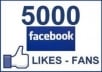provide, 5000++ 100% REAL HUMAN WORLD WIDE Very HIGH QUALITY FACEBOOK FANS LIKES for your any fanpage within 25 days only