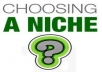 give you PLR Niche Pack of year 2013