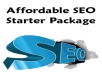creat Beat the Penguin& Panda with our SEO BOOSTING package