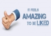 give You 500 Facebook Guaranteed Like/Likes/Fan/Fans For Your Fan Page