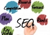 provide a full SEO Report for your website using IBP