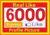 add 6000+ PERMANENT Facebook like (100% Real  HUMAN ) to Your Fanpage or Website  in just 48 hours