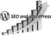 do onpage seo of your wordpress blog and install best seo plugins