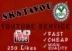 deliver 250 youtube likes to your video