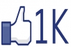 give u 40+40+40 real facebook fan/web likes (only Website)