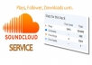 provide you 300 real and active sound cloud follower