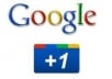 supply you 15 google + 1 votes for your website to rockup your SEO