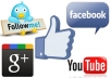 give u 50 facebook likes,50 youtube likes,50 pinterest followers,50 twitter followers & 50 google+1