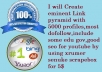 Create  eminent Link pyramid with 5000 profiles,most dofollow,include some edu gov,good seo for youtube by using xrumer senuke scrapebox