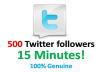 give u  500 twitter followers in a few days