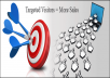 send 2500 real, targeted visitors from any COUNTRY to your website, best TRAFFIC 