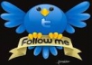 Get you 555+45 Twitter Followers, 100% real & Genuine only
