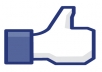 get you 2400+ Real High-Quality Facebook Fans/Likes for your Fanpage without admin in 48 hours or longer