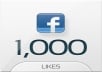 give you 1000+ Facebook Fan Likes to your Fan Page, quality profiled fan likes for your fan page 