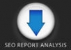 %%scan your website and send you two full detailed SEO reports %%