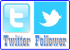 DELIVER YOU 24000 + TWITTER FOLLOWERS NO NEED YOUR PASSWORDs