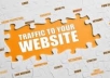 send 3000 Targeted Traffic to Your Website + Create 2000 Pr2 to Pr8 Backlinks + Manual Submission to 5 Do Follow Social Bookmarking Sites