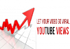 Deliver Human youtube VIEWS 5000+