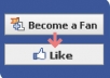 give you 1600 facebook likes guarenteed to your facebook fanpage without admin access