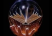 advertise your divination psychic medium website, blog, service to my 2856 active and targeted fans on my psychic medium on facebook fanpage