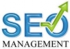 manually create weekly SEO campaign including Wiki, Web 2.0 , Social Networks, Forum Profiles and RSS backlinks